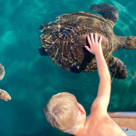 Magical Encounters Swimming with Sea Turtles - Karemlik Bay Demre - Kas to Kekova and Back