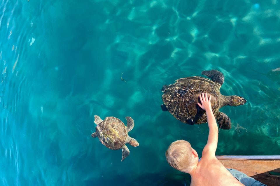 Magical Encounter with Sea Turtles in Crystal Clear Waters - Olympos to Fethiye Weekly Blue Cruise