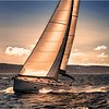 Cruiser18783858034